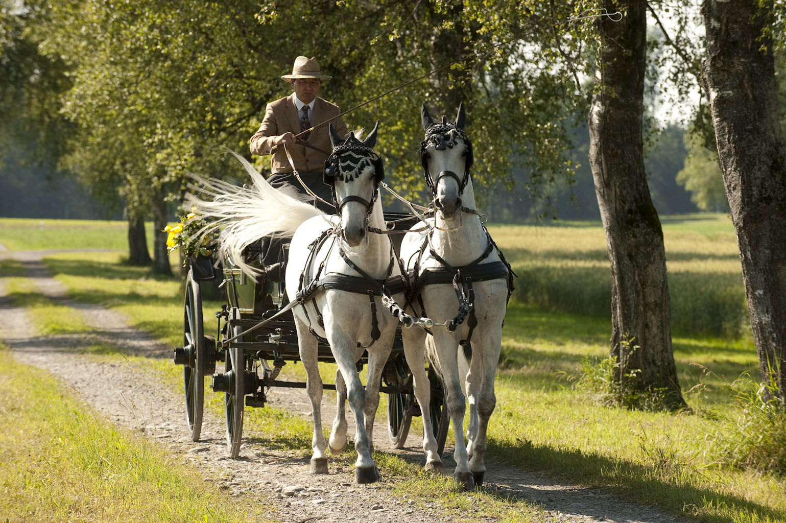 Hochzeit Kutschenfahrt